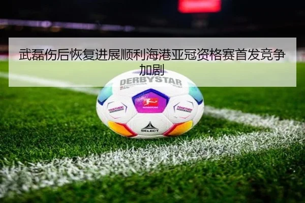 武磊伤后恢复进展顺利海港亚冠资格赛首发竞争加剧